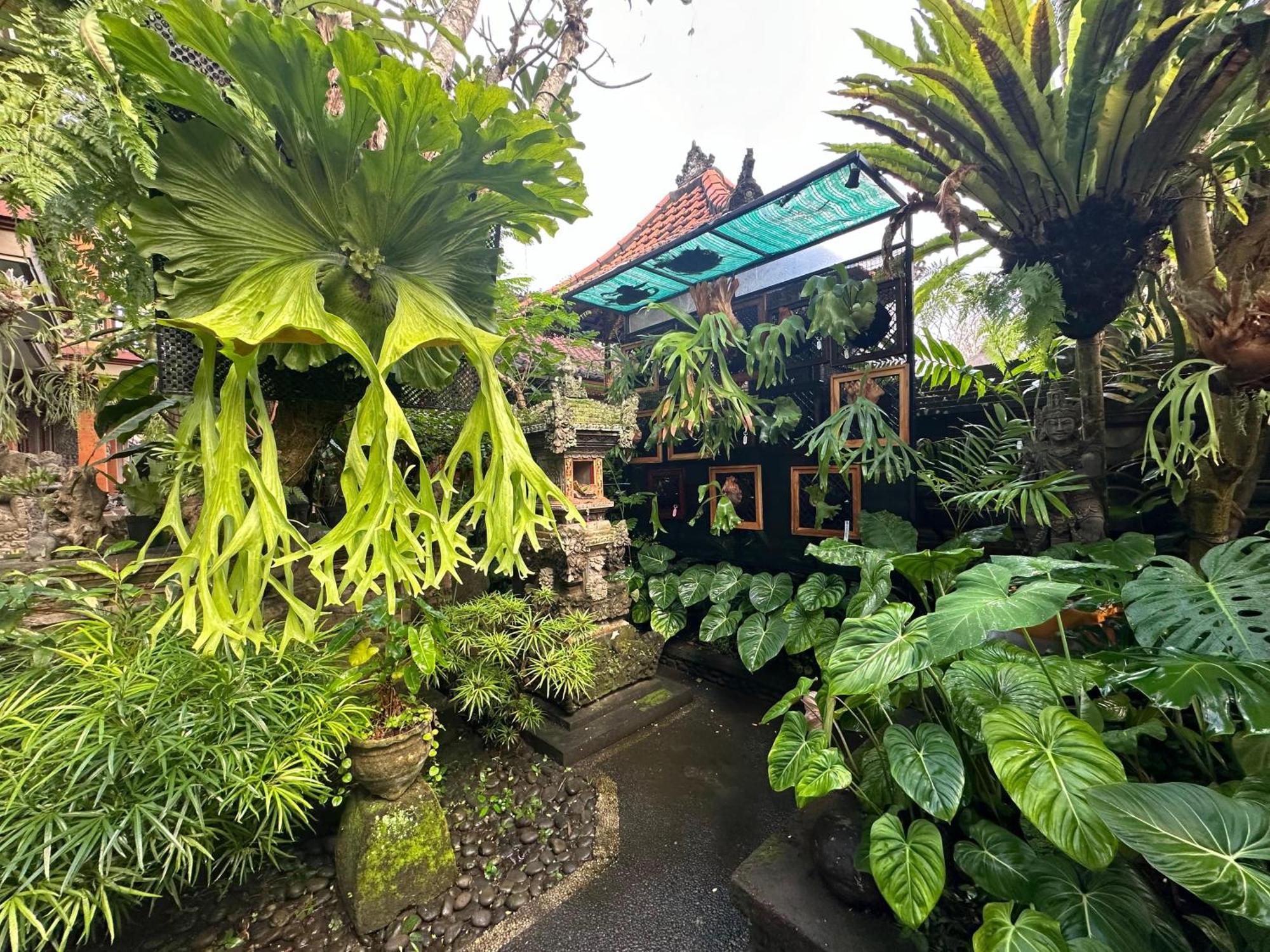 Naeera Guest House Убуд Екстер'єр фото